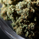 Illustration for article titled House Votes to Decriminalize Weed